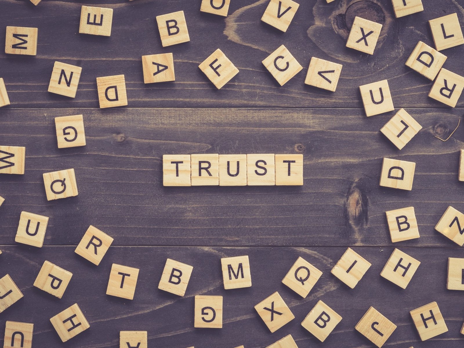 Core values of Business Fidelity Solutions: integrity, expertise, and client focus